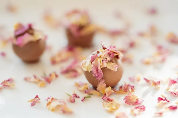 Moon Kasino Android/iOS Sovellus